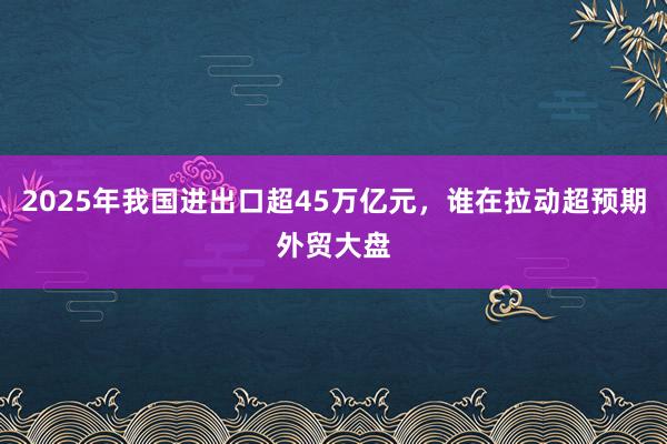 2025年我國進(jìn)出口超45萬億元,誰在拉動(dòng)超預(yù)期外貿(mào)大盤