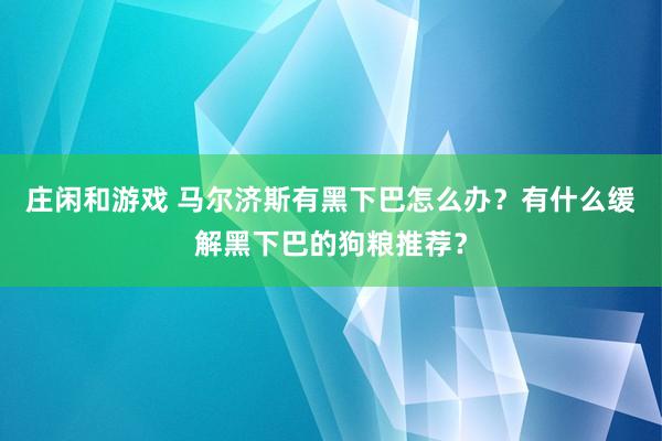 莊閑和游戲 馬爾濟(jì)斯有黑下巴怎么辦？有什么緩解黑下巴的狗糧推薦？